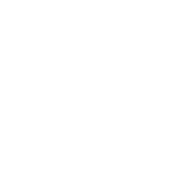 Local Digital Fund